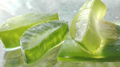 Atasi Jerawat dengan Lidah Buaya, Kenapa Tidak?